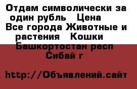 Отдам символически за один рубль › Цена ­ 1 - Все города Животные и растения » Кошки   . Башкортостан респ.,Сибай г.